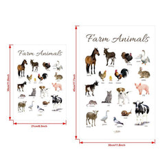Canvas Poster Preschool Map Preschool Education Poster Animals Children's Room