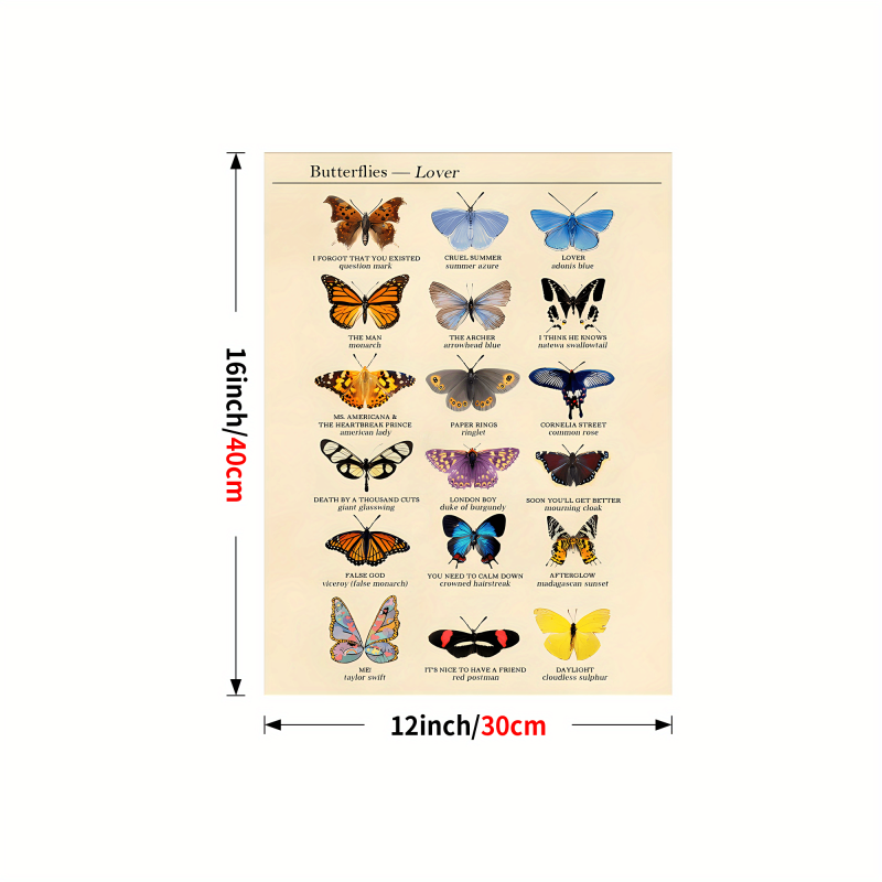 Colorful Butterfly Chart Bookplate Wall Decor Art Print