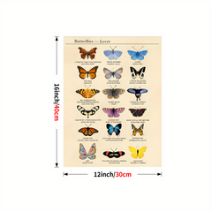 Colorful Butterfly Chart Bookplate Wall Decor Art Print