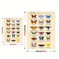 Colorful Butterfly Chart Bookplate Wall Decor Art Print