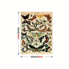 Colorful Butterfly Chart Bookplate Wall Decor Art Print