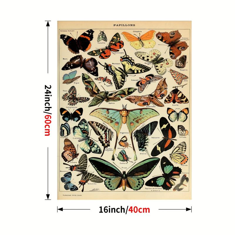Colorful Butterfly Chart Bookplate Wall Decor Art Print