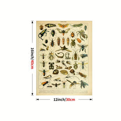 Colorful Butterfly Chart Bookplate Wall Decor Art Print