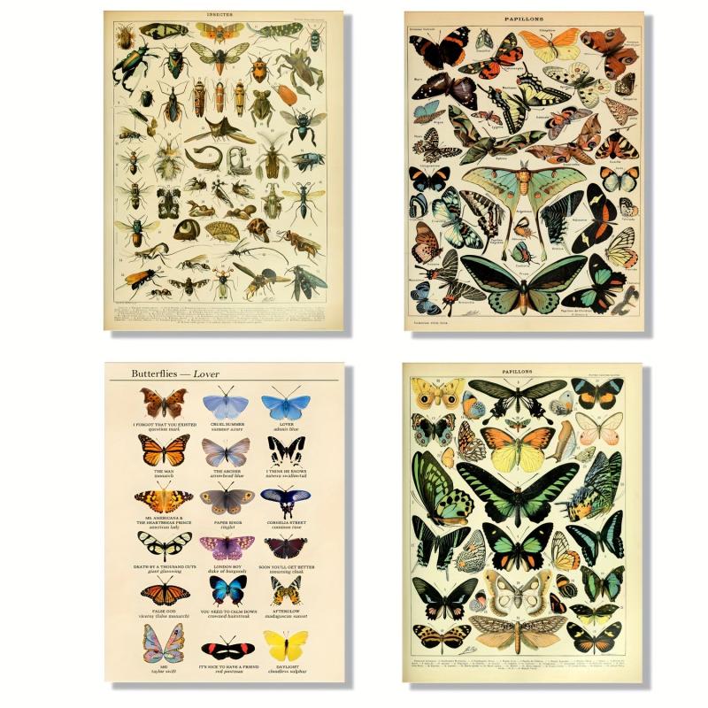 Colorful Butterfly Chart Bookplate Wall Decor Art Print