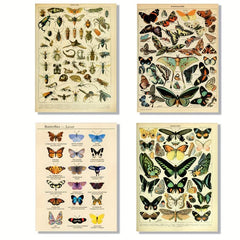 Colorful Butterfly Chart Bookplate Wall Decor Art Print