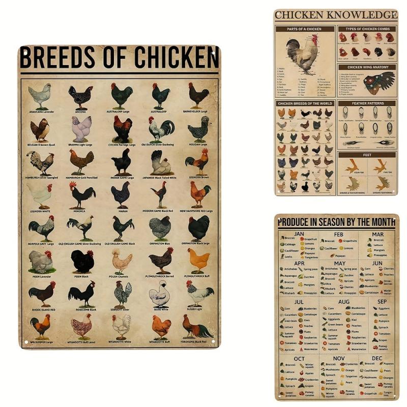 Vintage Metal Tin Signs Breeds Of Chickens Poster Wall Art