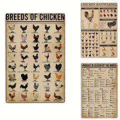 Vintage Metal Tin Signs Breeds Of Chickens Poster Wall Art
