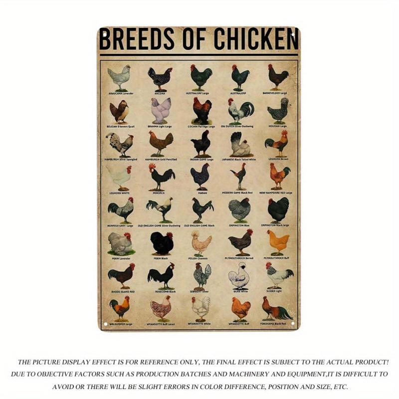 Vintage Metal Tin Signs Breeds Of Chickens Poster Wall Art