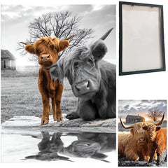 Highland Cow Canvas Wall Art Animal Print Framed Farmhouse Painting