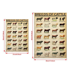 Vintage Art Canvas Painting Breeds Of Beef Cattle Painting On Canvas Wall Art