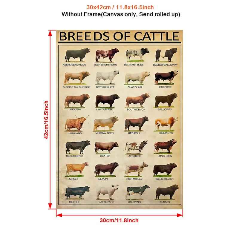 Vintage Art Canvas Painting Breeds Of Beef Cattle Painting On Canvas Wall Art