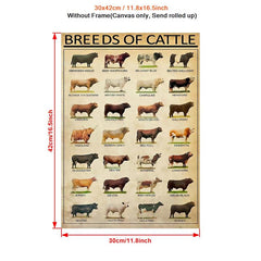 Vintage Art Canvas Painting Breeds Of Beef Cattle Painting On Canvas Wall Art