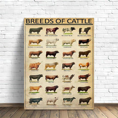 Vintage Art Canvas Painting Breeds Of Beef Cattle Painting On Canvas Wall Art