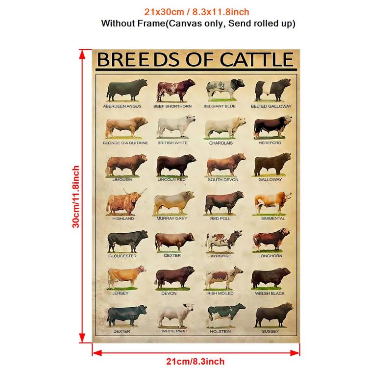 Vintage Art Canvas Painting Breeds Of Beef Cattle Painting On Canvas Wall Art