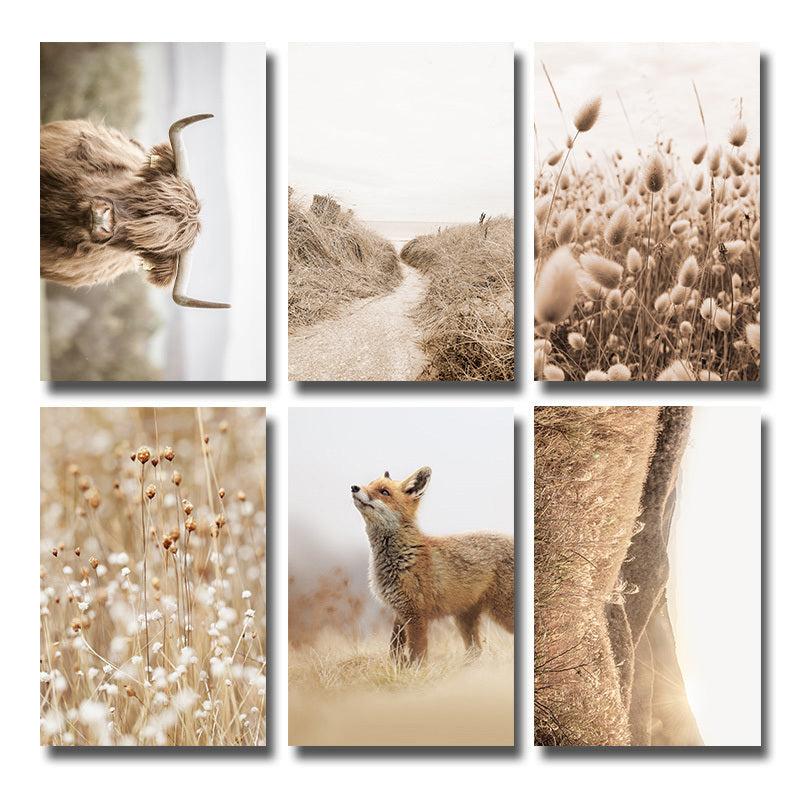 6pcs Meadow Reed & Animal Botanical Wall Picture Boho Style Art
