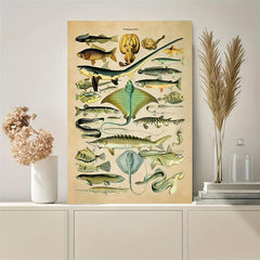 Fish Species Print Vintage Style Marine Life Chart Poster