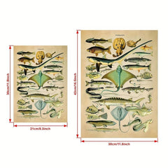 Fish Species Print Vintage Style Marine Life Chart Poster