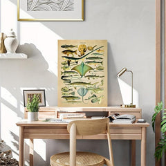 Fish Species Print Vintage Style Marine Life Chart Poster