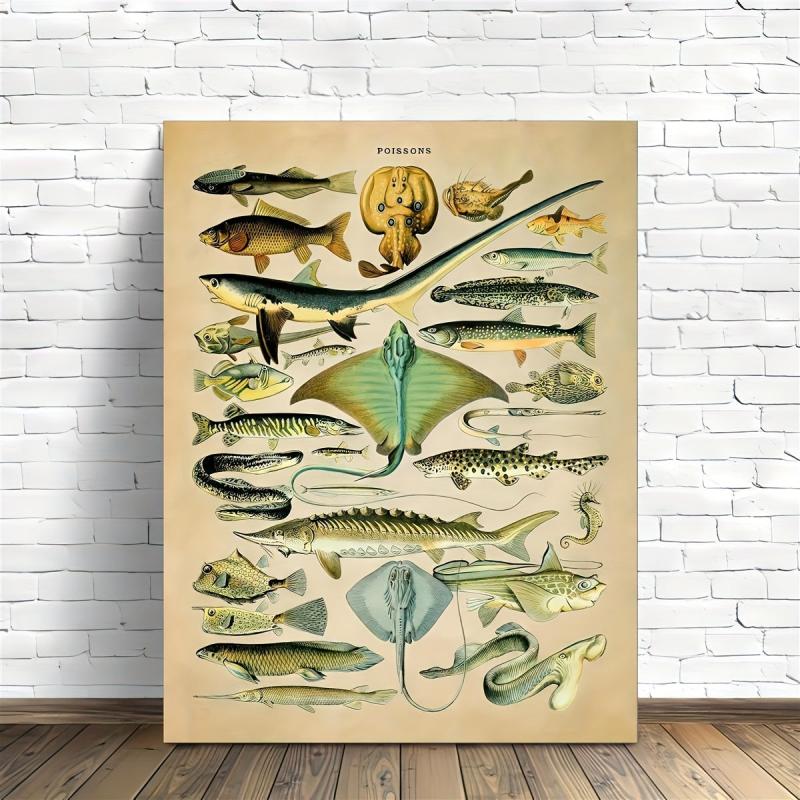 Fish Species Print Vintage Style Marine Life Chart Poster