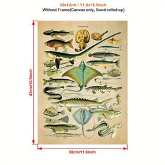 Fish Species Print Vintage Style Marine Life Chart Poster