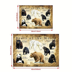 Bears Of The World Painting On Canvas Wall Art Artwork