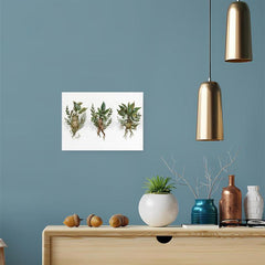 Canvas Poster Modern Art Mandrakes Plant Herbology Print Magic Botanical Waterco