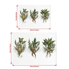 Canvas Poster Modern Art Mandrakes Plant Herbology Print Magic Botanical Waterco