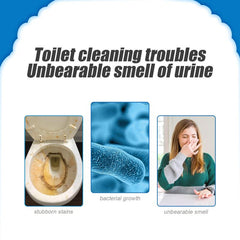 Toilet Cleaners Powder Active Oxygen Agent 110g 250g