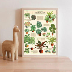 House Plants Wall Decor Art Poster Unframed