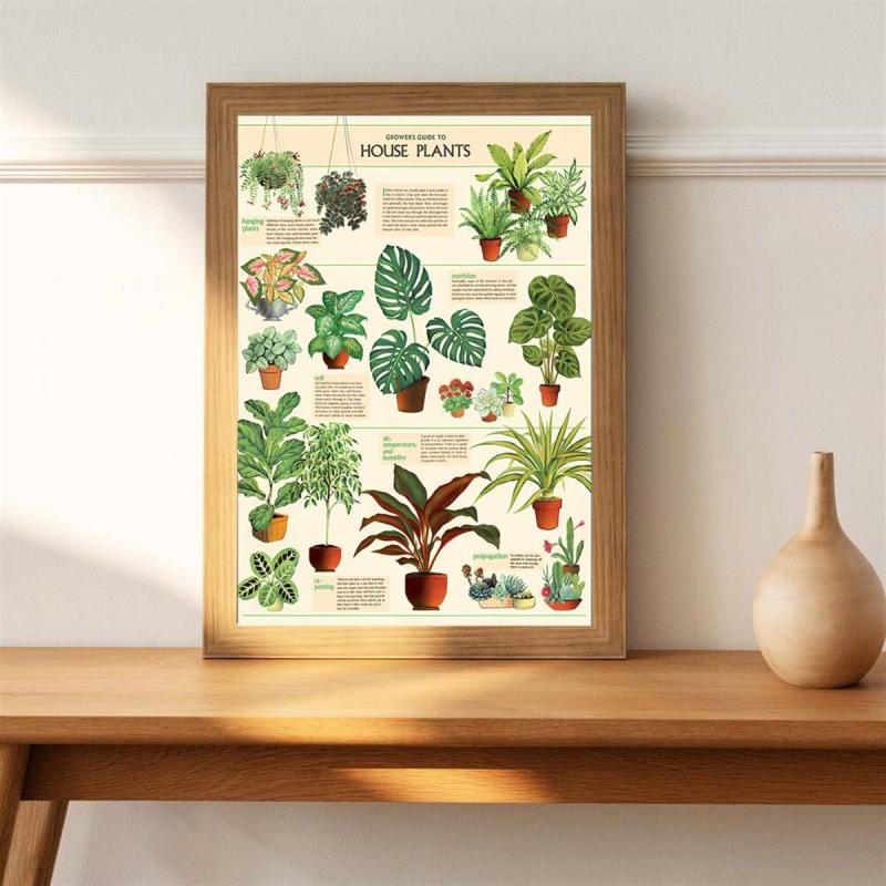House Plants Wall Decor Art Poster Unframed