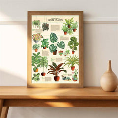House Plants Wall Decor Art Poster Unframed