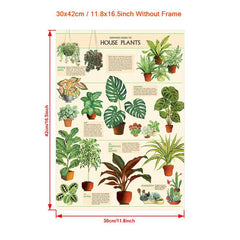 House Plants Wall Decor Art Poster Unframed