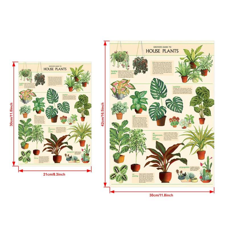 House Plants Wall Decor Art Poster Unframed