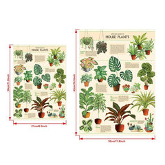 House Plants Wall Decor Art Poster Unframed