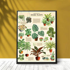 House Plants Wall Decor Art Poster Unframed