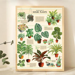 House Plants Wall Decor Art Poster Unframed