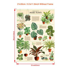 House Plants Wall Decor Art Poster Unframed