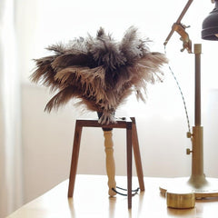 Natural Ostrich Feather Duster Wooden Handle Dust Duster Household Dusting Brush