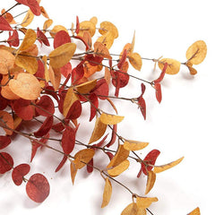 Artificial Eucalyptus Stems Fall Decorations With Fall Eucalyptus Leaves
