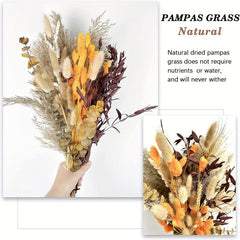 66pcs Orange Dried Pampas Grass for Boho Decor