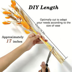 66pcs Orange Dried Pampas Grass for Boho Decor
