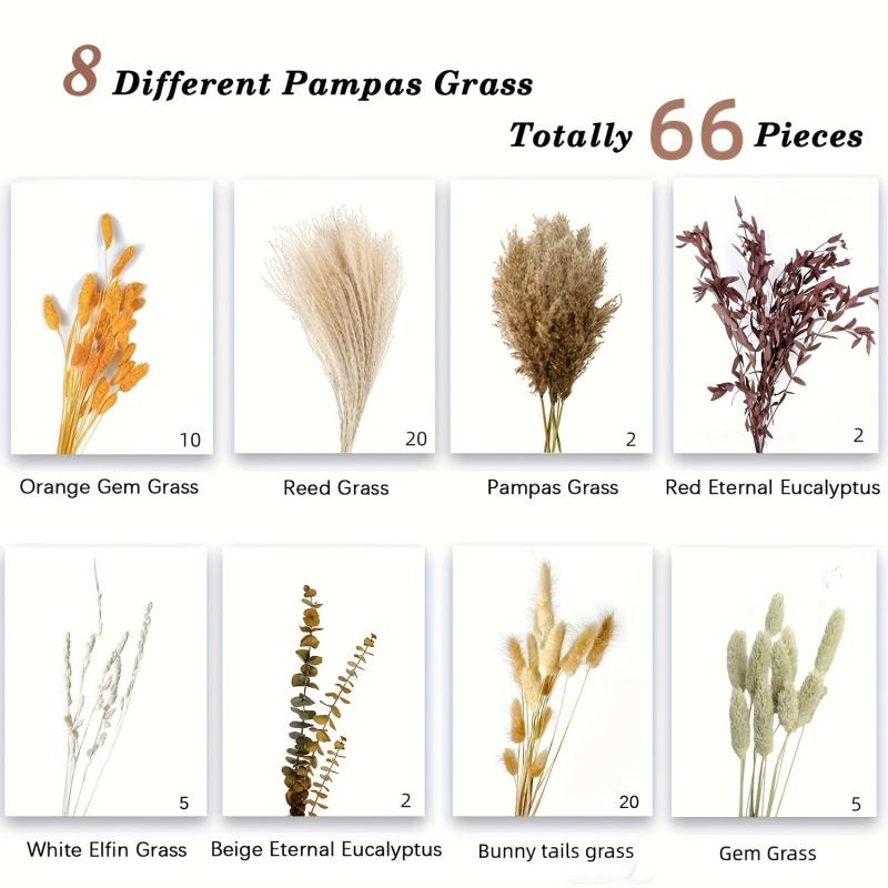 66pcs Orange Dried Pampas Grass for Boho Decor