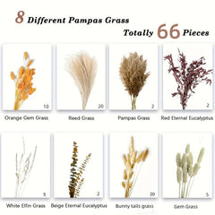 66pcs Orange Dried Pampas Grass for Boho Decor