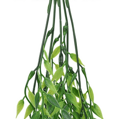 UV Resistant Artificial Weeping Willow Plant for Indoor and Outdoor Decor