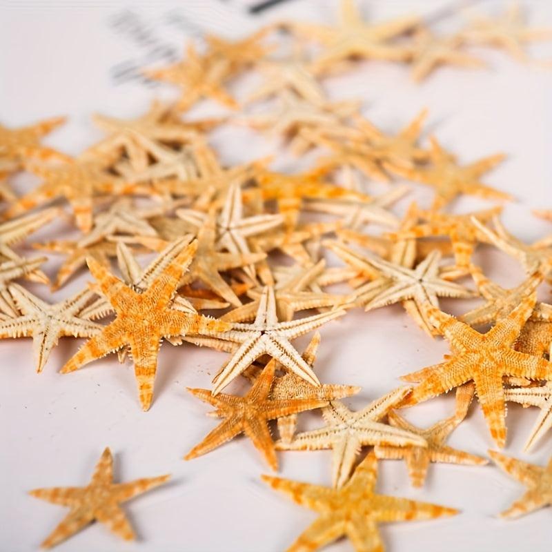 50pcs Mini Starfish Mixed Style Random
