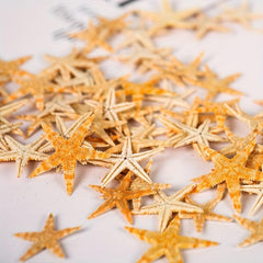 50pcs Mini Starfish Mixed Style Random