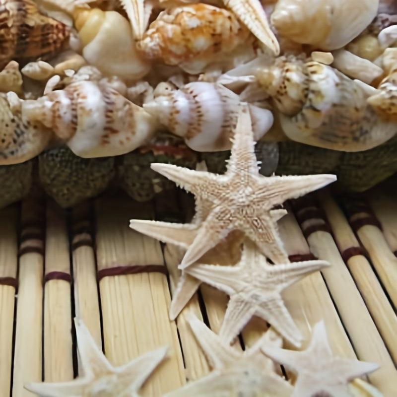 50pcs Mini Starfish Mixed Style Random
