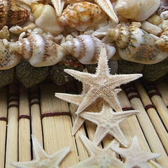 50pcs Mini Starfish Mixed Style Random
