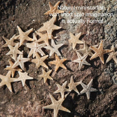 50pcs Mini Starfish Mixed Style Random