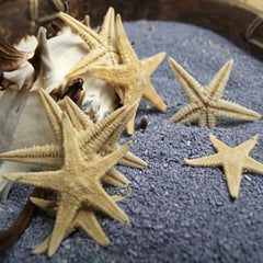 50pcs Mini Starfish Mixed Style Random